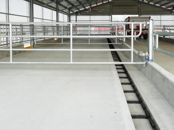 Lavaggi automatici